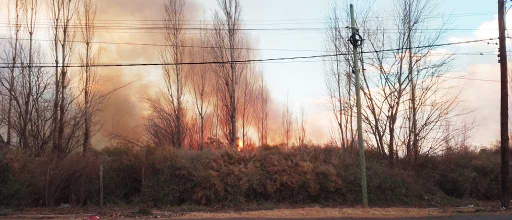 Terrible incendio en Los Corralitos por el Zonda