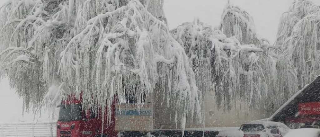 Fotos y videos: Zonda en el llano, temporal de nieve en la Alta Montaña