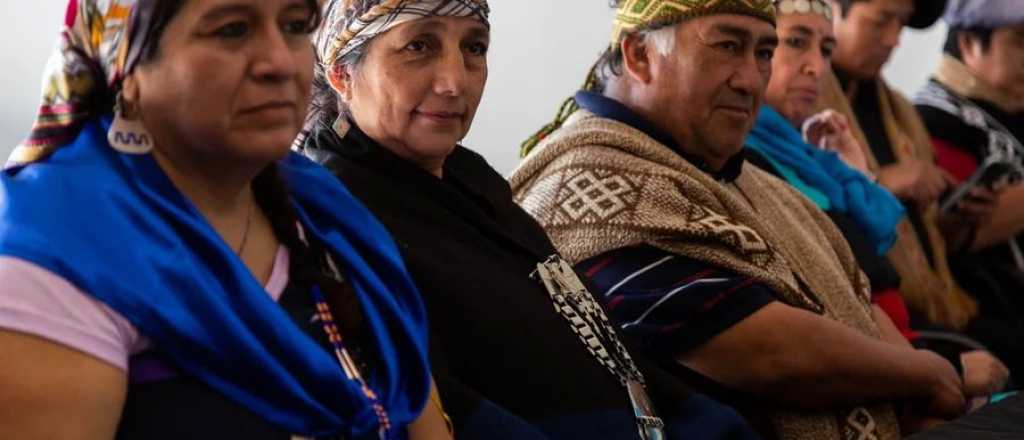 El insólito acuerdo kirchnerista con mapuches para darles impunidad