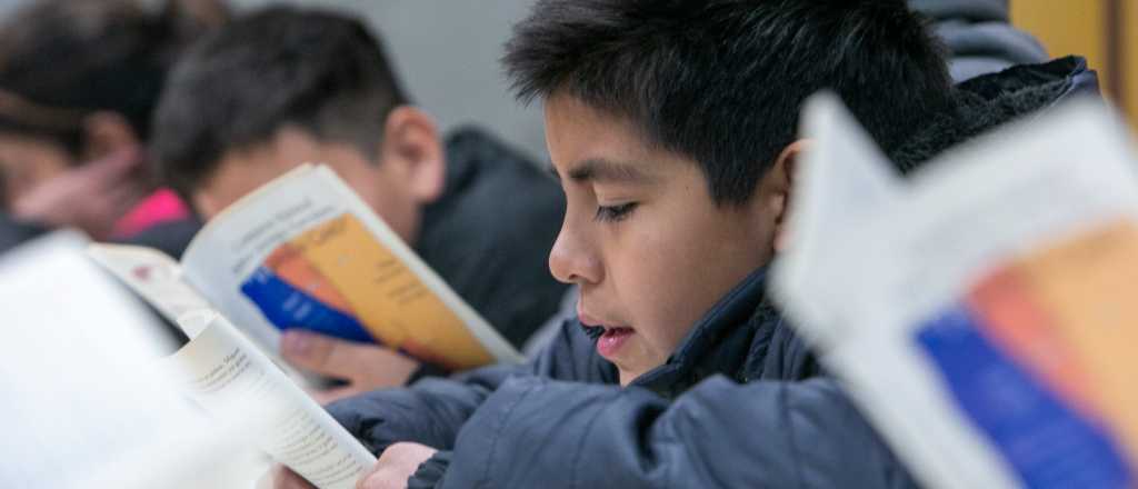 Mendoza redujo la cantidad de chicos con nivel crítico de lectura