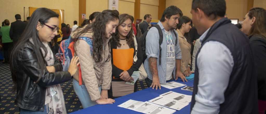 Cuáles son las carreras prioritarias para conseguir trabajo en Mendoza