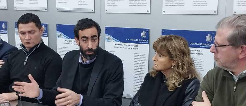 Fayad explicó en Legislatura el proyecto para transferir acciones de IMPSA