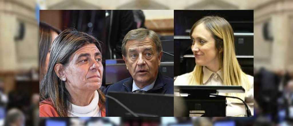 Sin grieta: los 3 senadores de Mendoza votaron a favor de la reforma jubilatoria