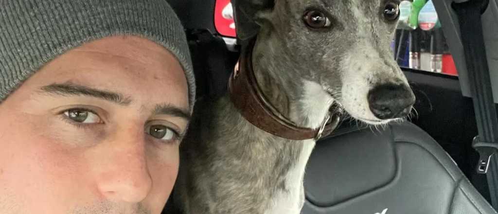 Un argentino voló a París, le perdieron a su perro y alguien inesperado lo ayudó