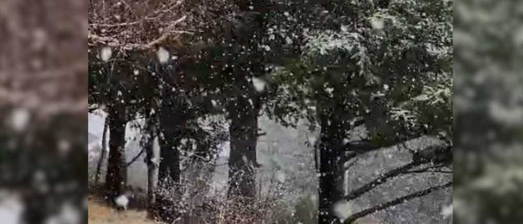 Video: fuerte nevada en Potrerillos