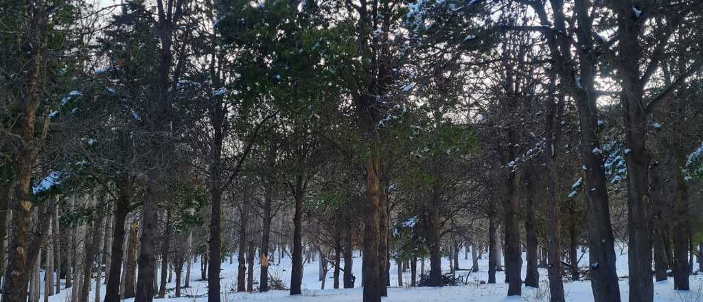 Alta Montaña con nevadas intensas: postales y el Paso cerrado