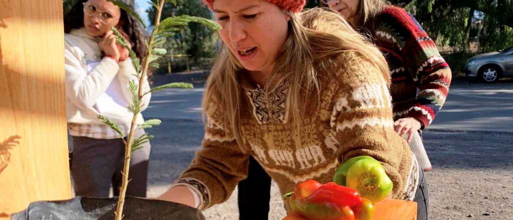 Una nueva edición de la feria "Troca Nativa" a Las Heras