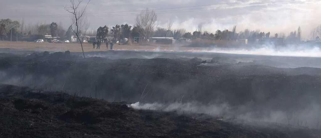 Un incendio intencional en Guaymallén se descontroló por el Zonda