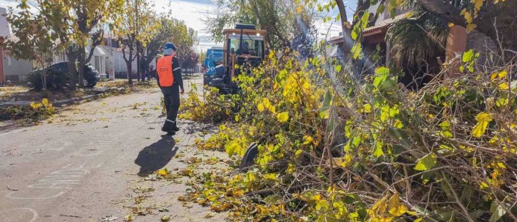 Atención automovilistas: cortes de calle en Ciudad por trabajos de poda