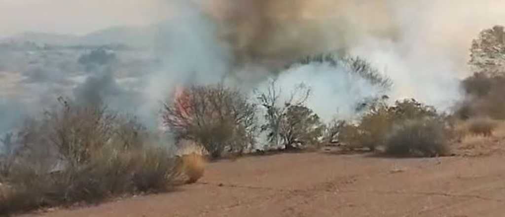 Video: incendio en terrenos del viejo autódromo de Ciudad, cerca de La Favorita