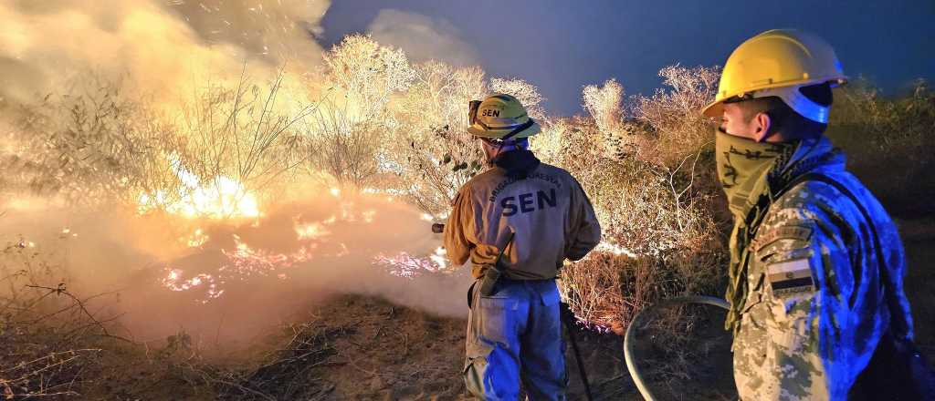 Más de 80 mil hectáreas afectadas por incendios forestales en Paraguay