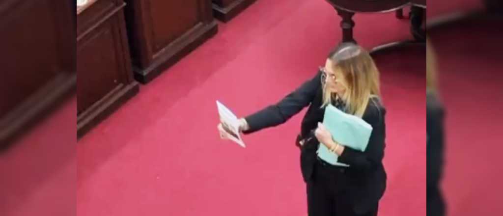 Escándalo en Santa Fe: Amalia Granata fue insultada y agredida