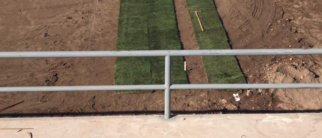 Comenzaron a instalar el césped en la cancha de Godoy Cruz