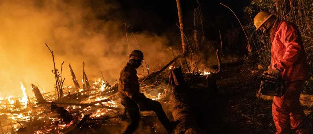 Se incendia América del Sur: las alarmantes cifras de los últimos años