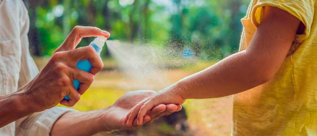 A días del inicio de la primavera, los repelentes están por las nubes