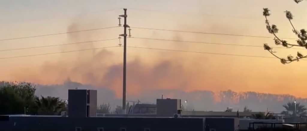 Zonda y combustión vegetal: se incendió un campo en El Bermejo