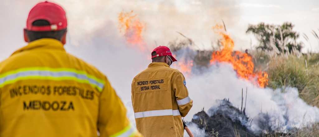 Una mujer prendió un fuego intencional en San Rafael y fue atrapada