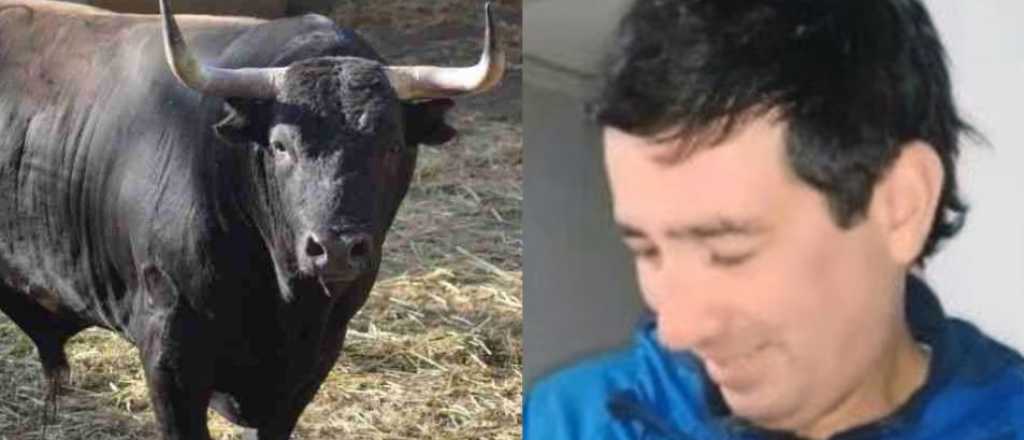 Trabajador rural tropezó en un tambo y murió atacado por un toro