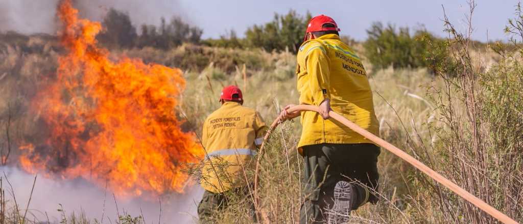 El cambio de hábito de los mendocinos que previene incendios forestales 