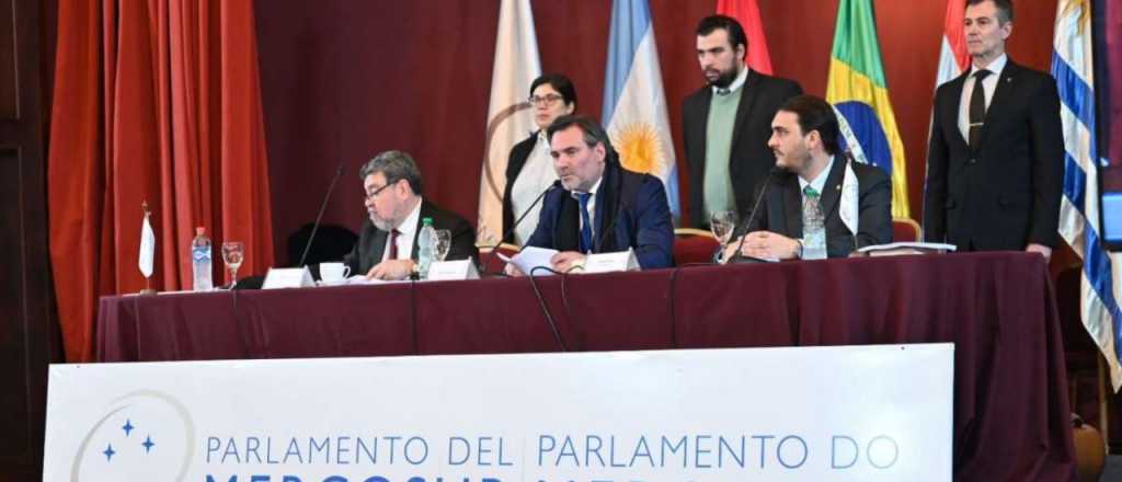 El mendocino del Parlasur bancó el recorte de viáticos y criticó al organismo