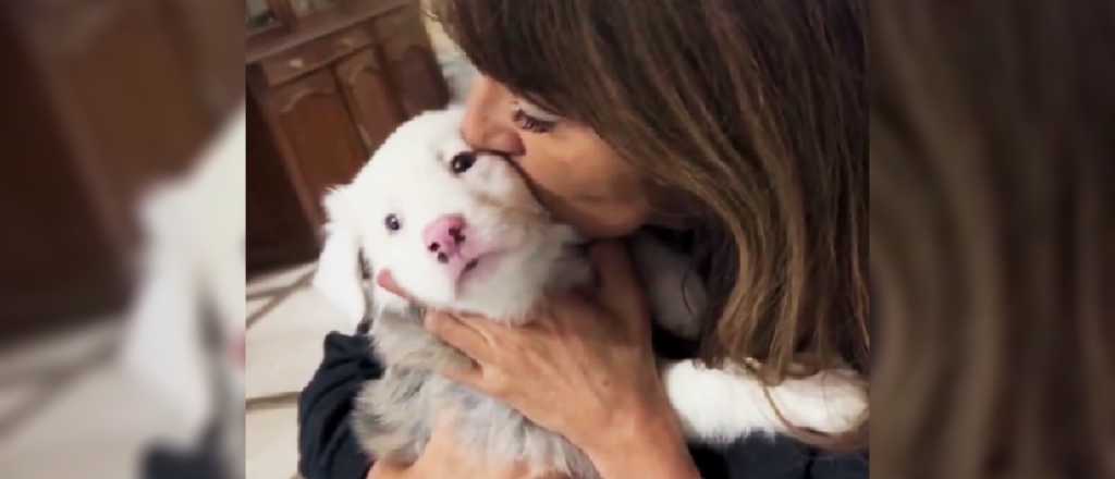 Video: una mujer no quería a un perro en su casa, pero su reacción fue tierna