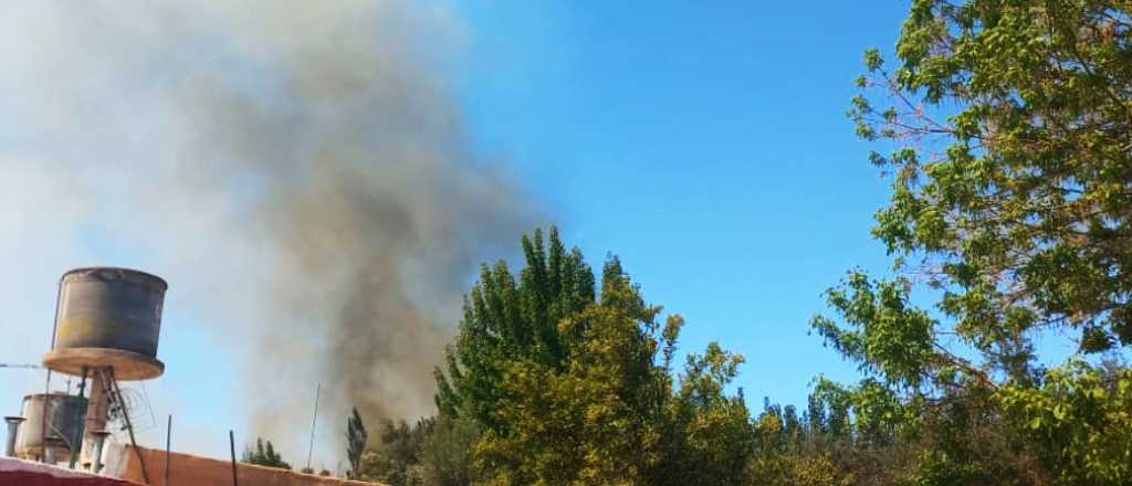 Un incendio generó pánico entre vecinos de Rivadavia