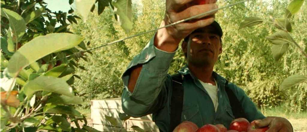 Las actividades económicas de Mendoza en riesgo de extinción