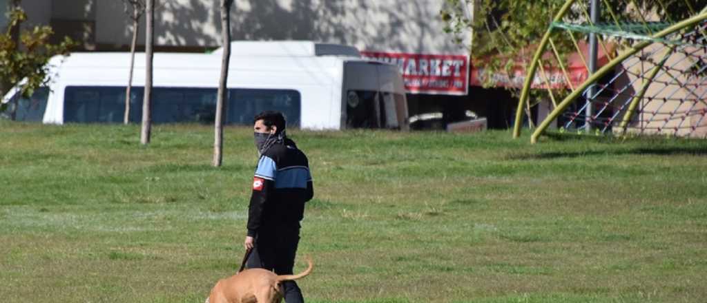 Polémica por la "tenencia responsable" de mascotas en Godoy Cruz