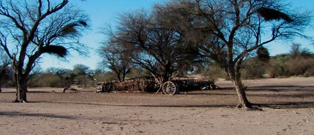 Cómo afecta a los "bosques mendocinos" la eliminación de un fondo clave