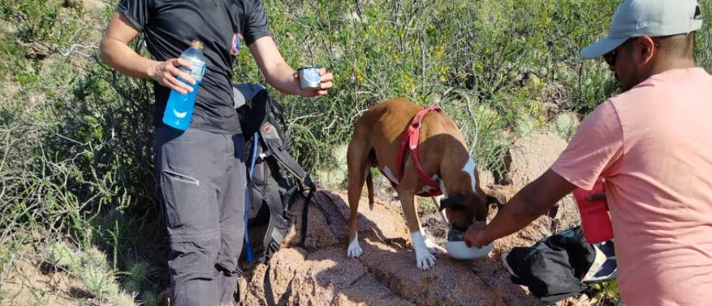 Rescataron a dos hombres y un perro en el Cerro Nahuel de Potrerillos