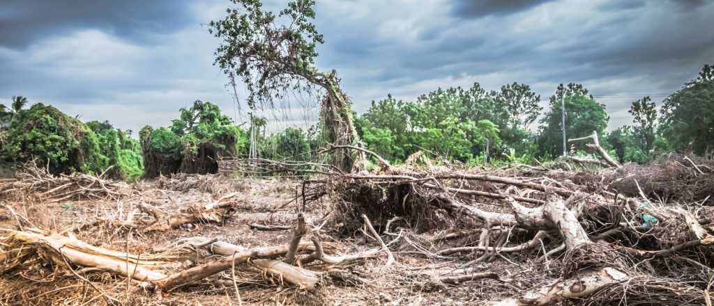 ¿Por qué una Ley de Cambio Climático en Mendoza?