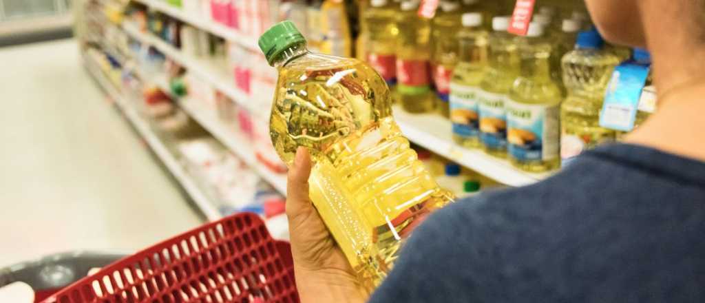 ¿Aceite de oliva o de girasol? Ventajas y desventajas de cada uno