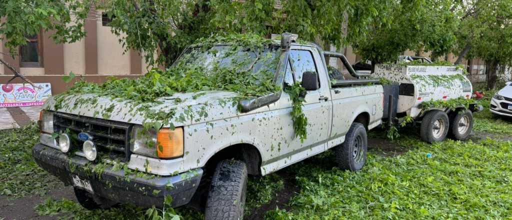 Árboles caídos, postes y cables dañados por la tormenta en Mendoza