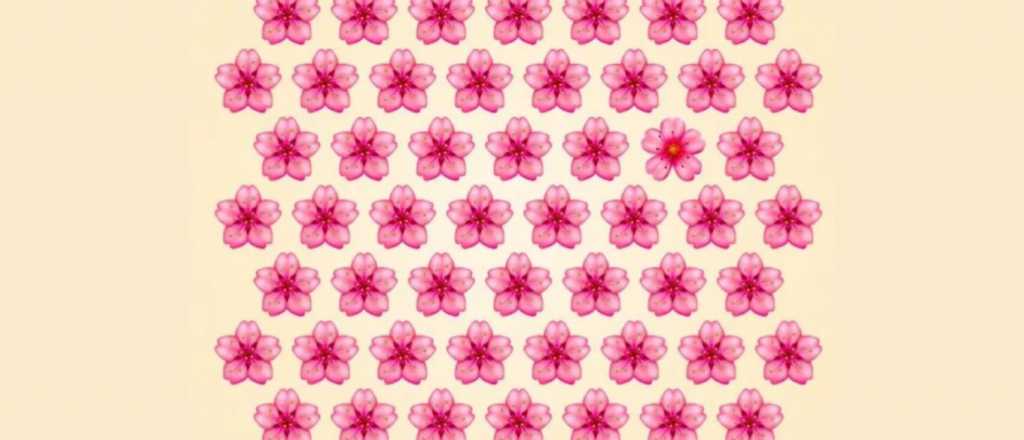 Prueba viral: ¿Dónde está la flor diferente de la imagen?
