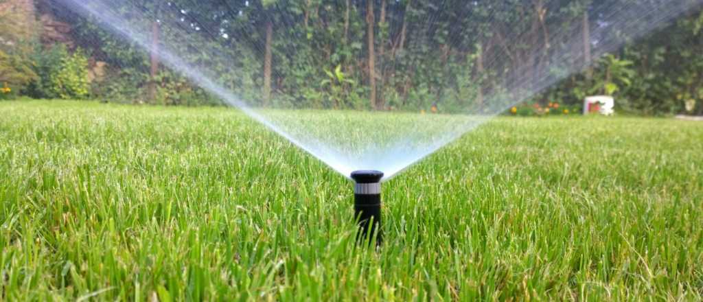 Consejos básicos para regar jardines de gran tamaño sin desperdiciar agua