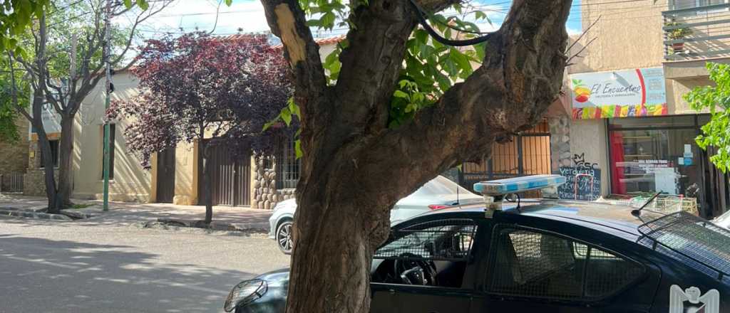 Detuvieron a dos adolescentes que robaban cables en Maipú