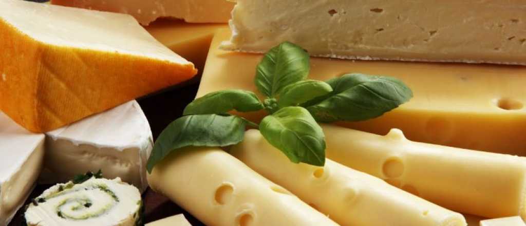 Todo lo que tenés que saber acerca del queso