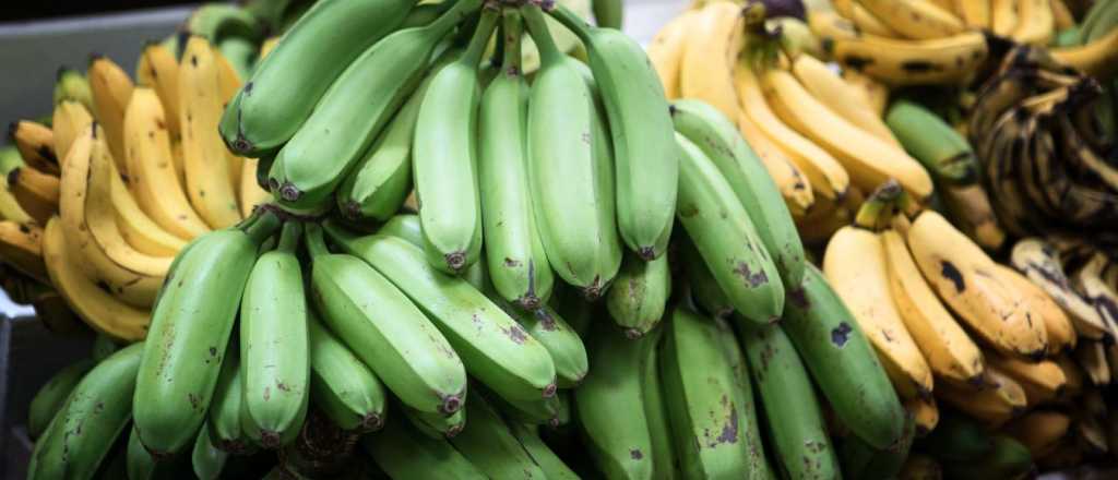 Las 4 diferencias básicas entre un plátano y una banana