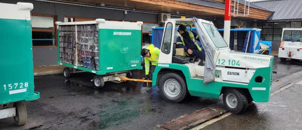 Echaron a 15 empleados de Intercargo: "Tomaron de rehenes a pasajeros"