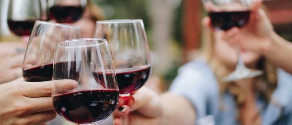 Vitae Vino: la propuesta para defender el consumo del vino en el mundo