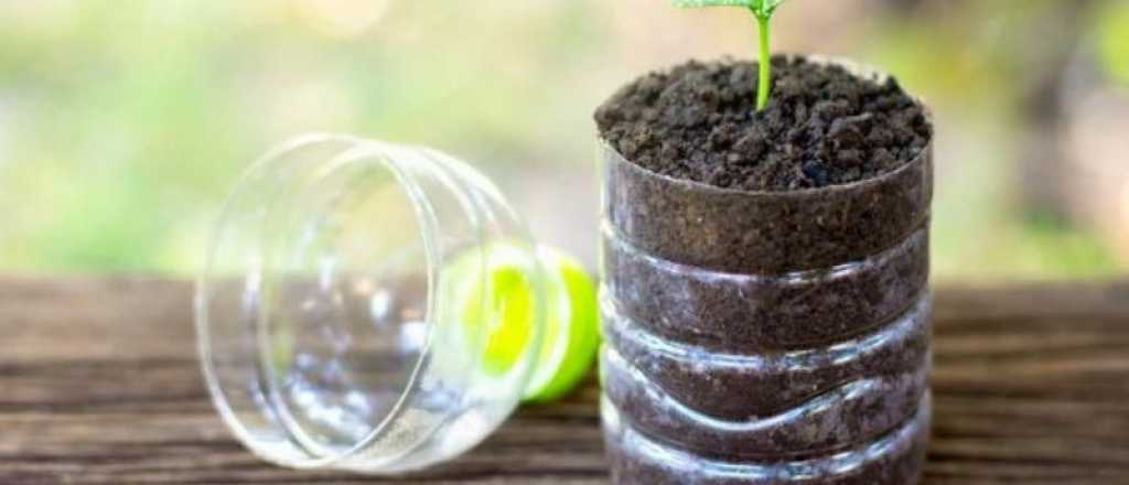 Macetas recicladas: ideas para plantar sin gastar dinero