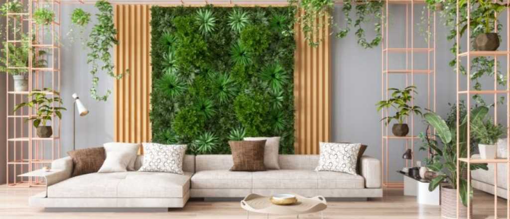 Decoración biofílica: tips para lograr la conexión natural en tu casa