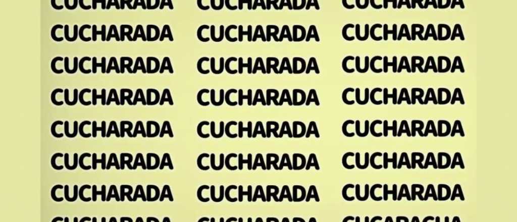 Sopa de letras: ¿podés encontrar la palabra cucaracha en la imagen? 