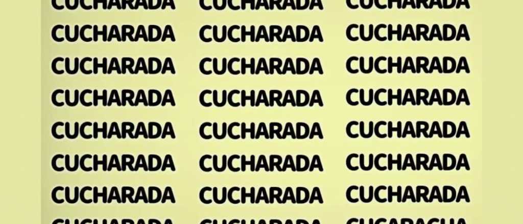 Sopa de letras: ¿podés encontrar la palabra cucaracha en la imagen?