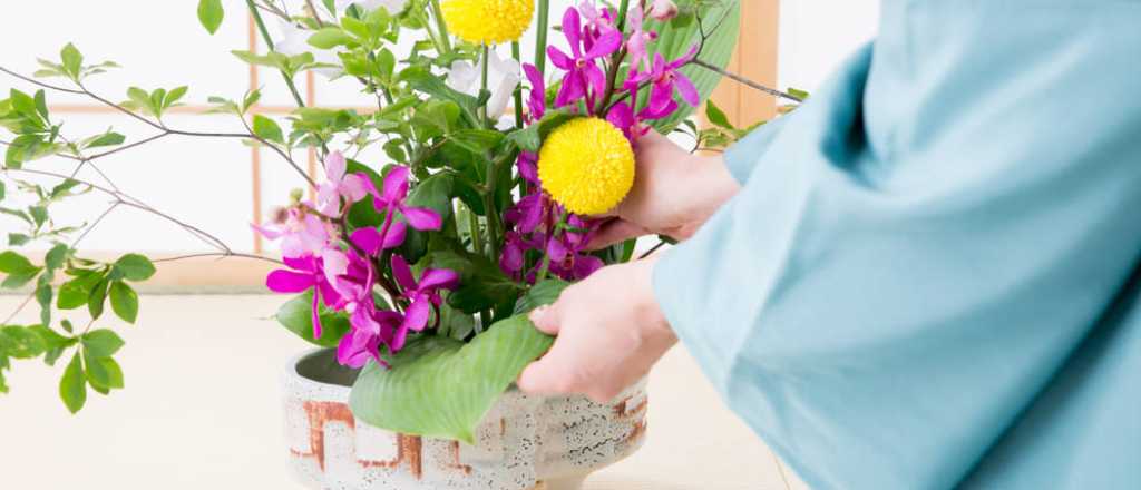 El arte del ikebana: más que arreglos florales, una filosofía de vida