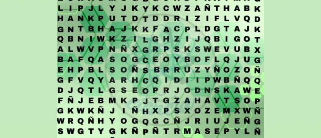 Sopa de letras: ¿podés encontrar la palabra "hospital"?