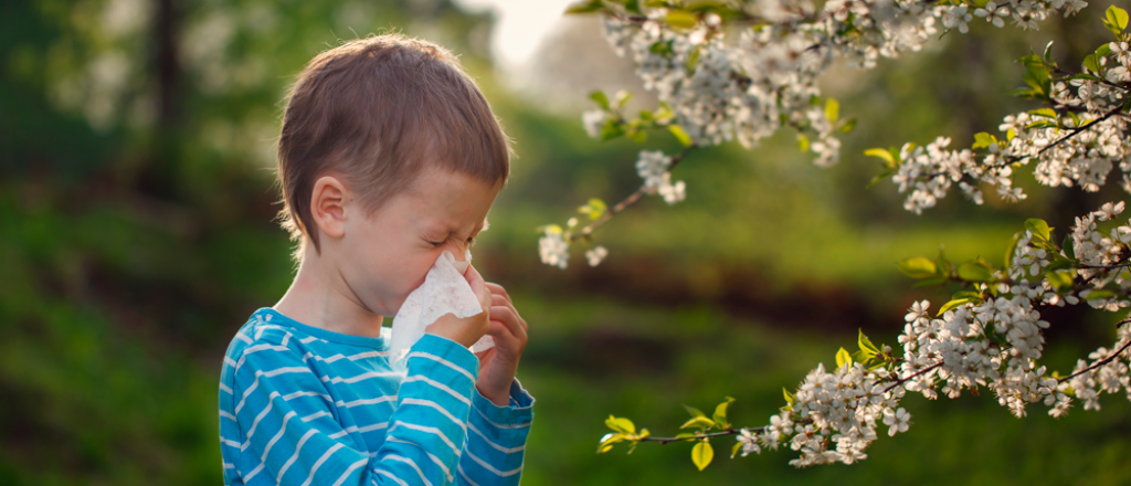 Las mejores plantas para tener en casa si sufrís de alergia