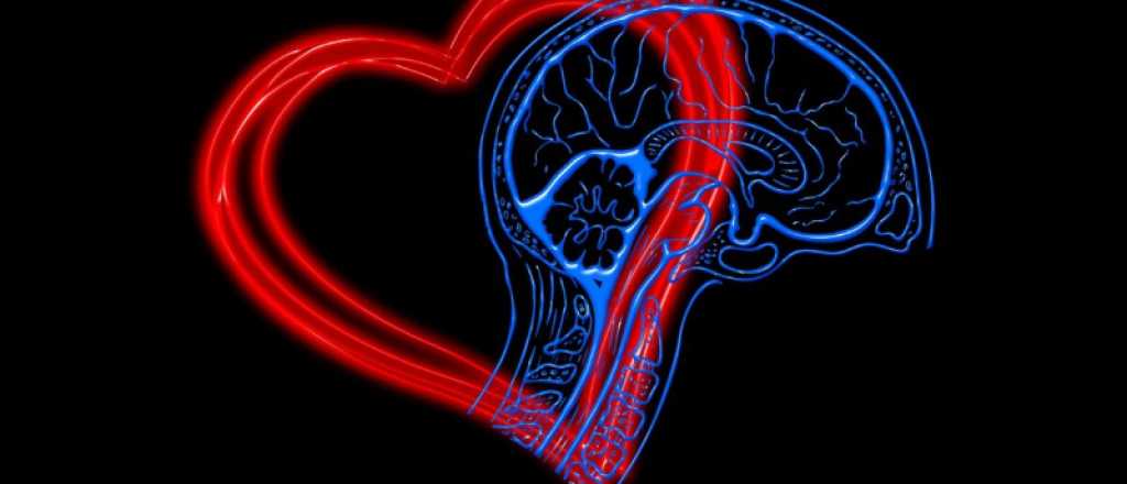 Cerebro versus corazón: el debate eterno sobre la toma de decisiones  