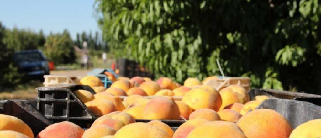 Siguen sin identificar al hombre que murió al ser golpeado por robar duraznos