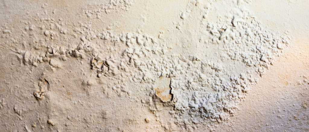 Consejos para evitar la humedad en las paredes de casa